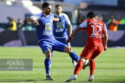 وقتی تب شهرت دامن سرخابی‌ها را می‌گیرد! 
