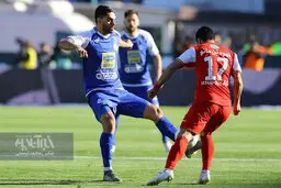 وقتی تب شهرت دامن سرخابی‌ها را می‌گیرد! 