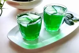 شربت نعناع؛ بهترین نوشیدنی خنک‌کننده برای روزهای گرم تابستان| طرز تهیه شربت نعنا خانگی در روزهای گرم

 