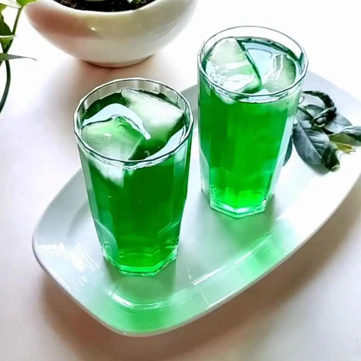 یه عمر شربت نعنا رو اشتباه درست میکردی | با این روش کل روز خنک میمونی! + ویدئو