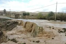 باران سیل‌آسا در جنوب کرمان | رودخانه‌های قلعه‌گنج طغیان کردند +ویدئو