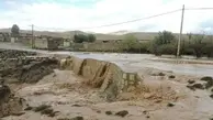 باران سیل‌آسا در جنوب کرمان | رودخانه‌های قلعه‌گنج طغیان کردند +ویدئو