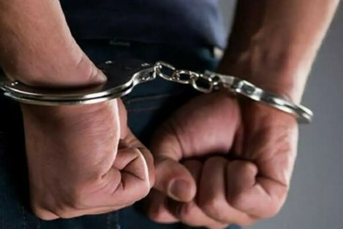 متهم ۲۰ هزار میلیارد تومانی به کشور بازگردانده شد 