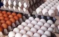 
تخم مرغ شانه ‌ای ۳۰ هزار تومانبه فروش میرسد
