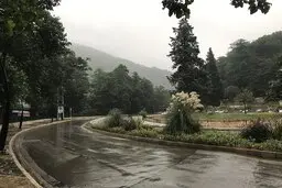 درختان ۶۰ ساله ورودی گرگان، قربانی ساخت دوربرگردان 