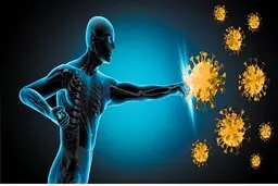 سیستم ایمنی بدن چطور تقویت می‌شود؟