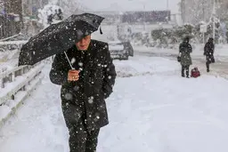
 فقط با زنجیر چرخ در جاده های چالوس و هراز ترددکنید
