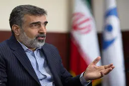  آژانس اتمی انتشار اطلاعات و نامه‌های محرمانه ایران را متوقف کند