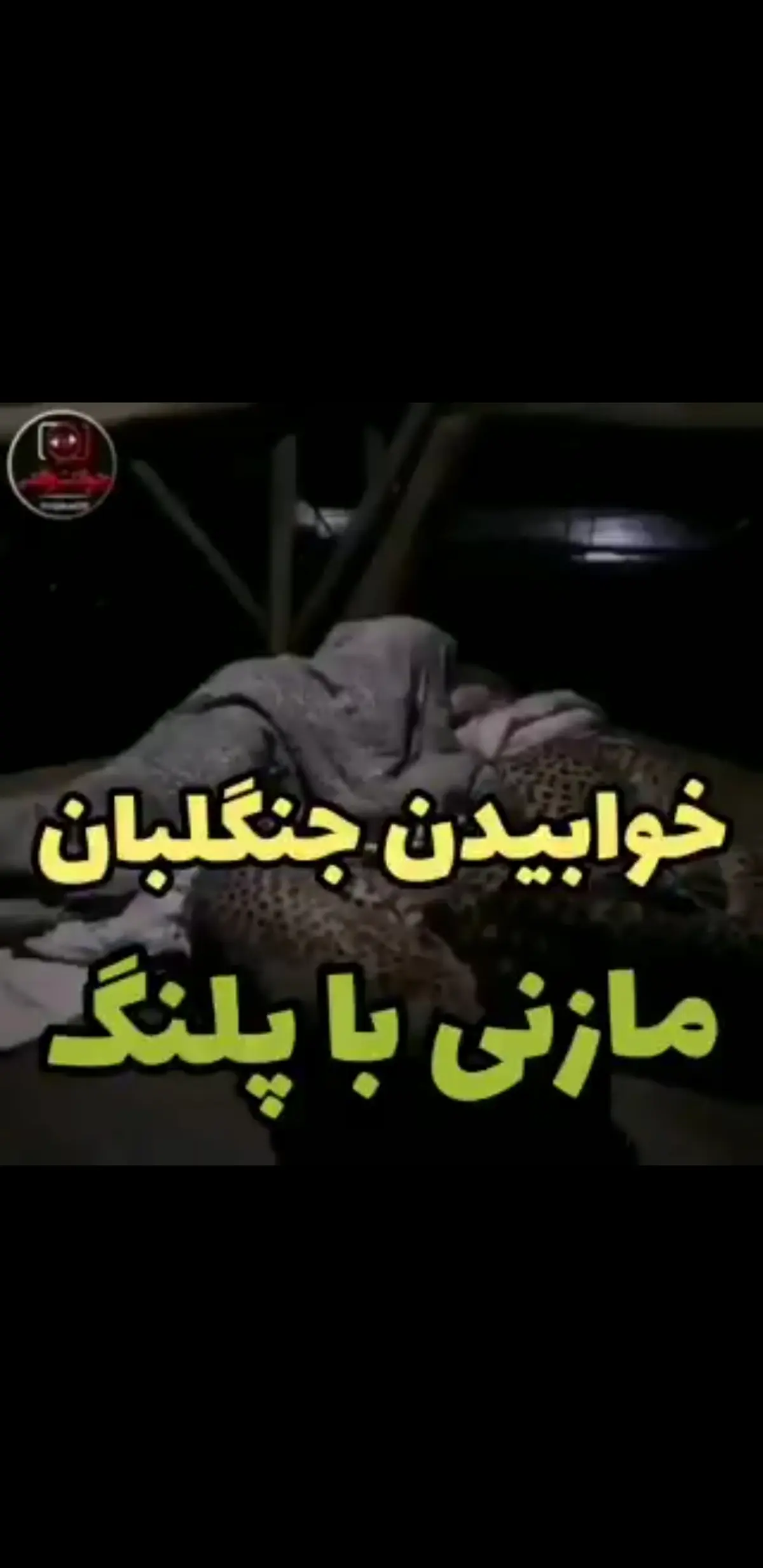 این فیلم واقعیست اما + ویدئو