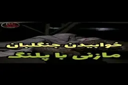 این فیلم واقعیست اما + ویدئو
