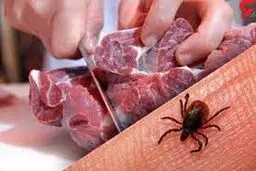 فوت ۷ نفر بر اثر ابتلا به تب کریمه کنگو در ایران از ابتدای سال