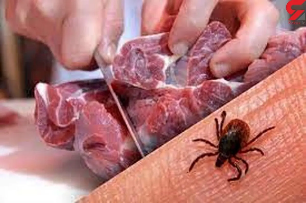 فوت ۷ نفر بر اثر ابتلا به تب کریمه کنگو در ایران از ابتدای سال