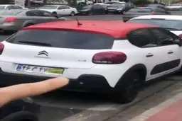 گذاشتن برگ روی پلاک + ویدئو