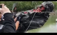 سرنگون کردن مجسمه تاجر برده در آب + ویدئو