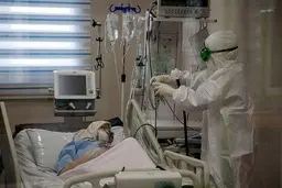 شیوع کرونا در شیراز سیر صعودی دارد