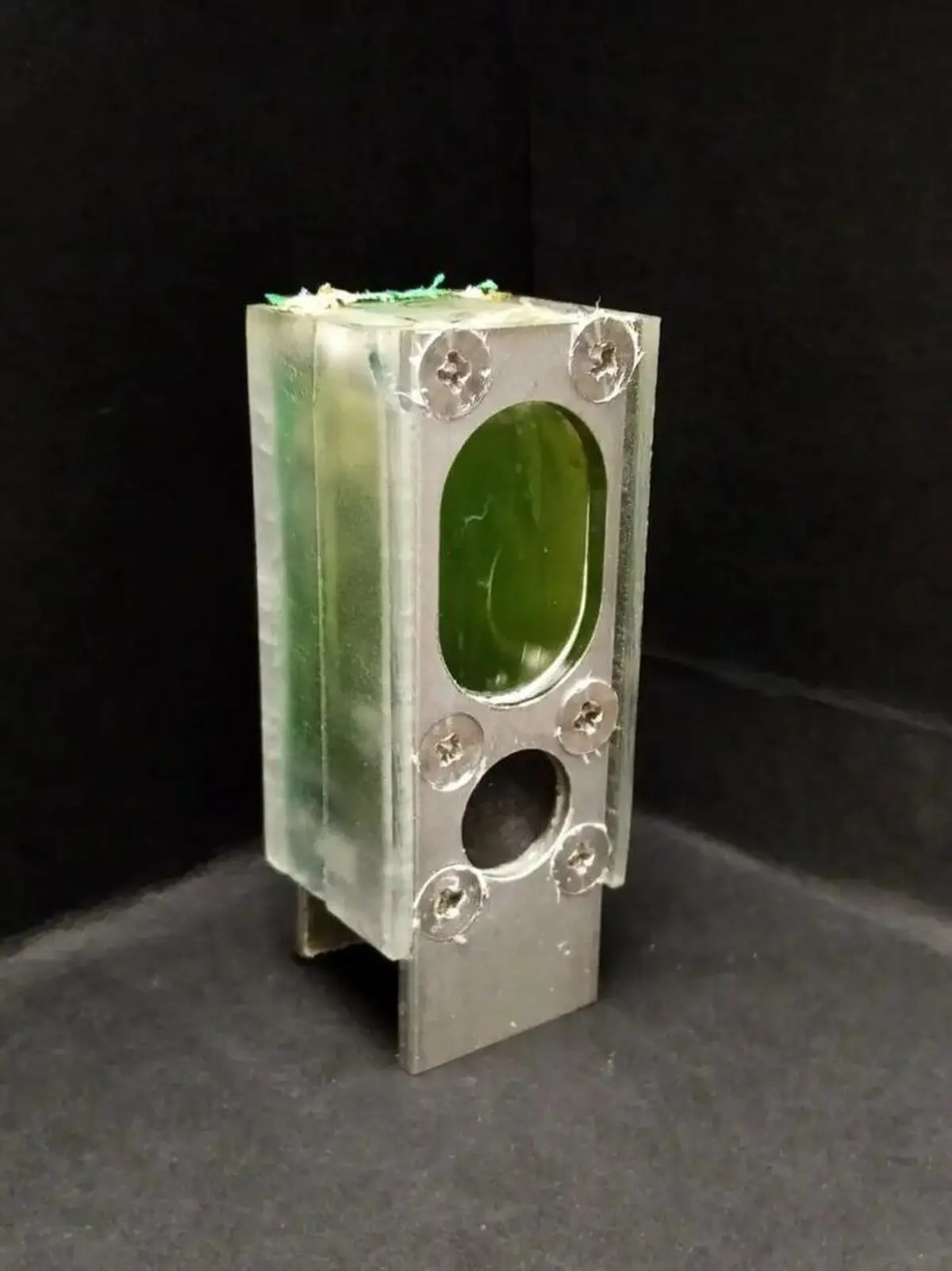دانشمندان  دست به کاری حیرت آور زدند | فعال نگه داشتن یک کامپیوتر بیش از شیش ماه فقط با جلبک !