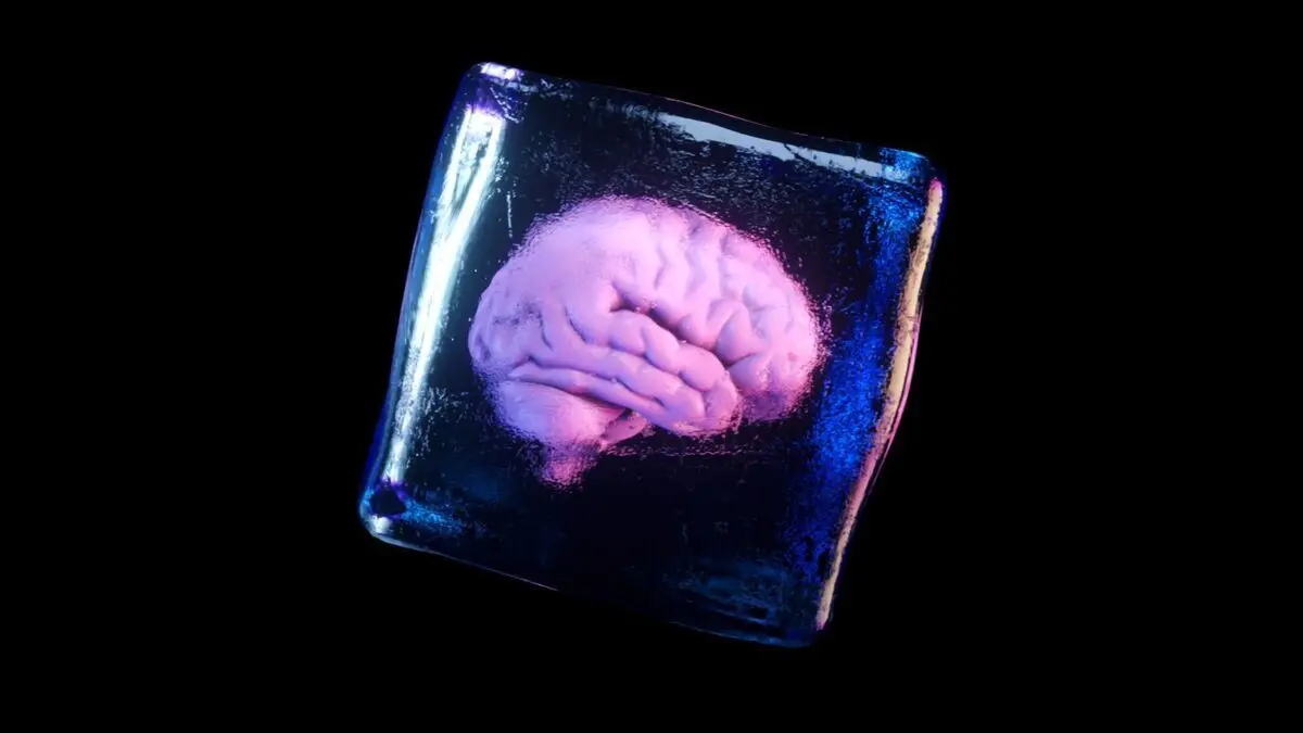 محققان چینی مغز منجمدشدۀ انسان را دوباره زنده کردند | تصاویری از بافت مغز ذوب‌نشده و و ذوب‌شده را ببینید +تصویر