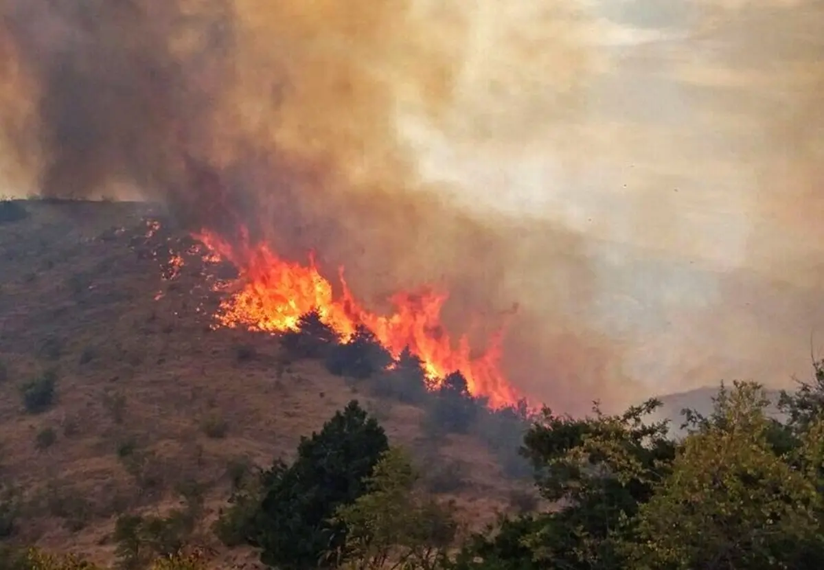 ۱۵۰ هکتار از جنگل‌های کردکوی گلستان در آتش سوخت