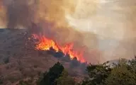 ۱۵۰ هکتار از جنگل‌های کردکوی گلستان در آتش سوخت