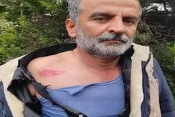  کتک کاری در شهرداری پیربازار | شهردارنیروی خدماتی شهرداری را کتک زد