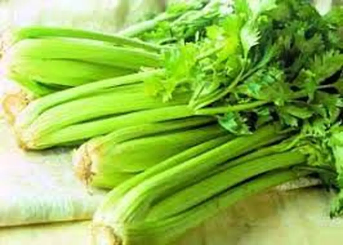 
خوراکی‌هایی که نباید دوباره داغ شوند
