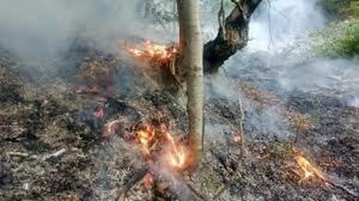 آتش‌سوزی در پارک ملی بوجاق گیلان 