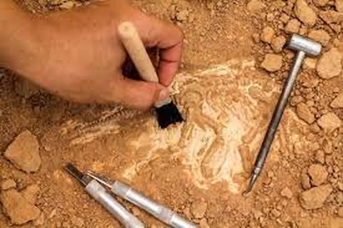  کشف استثنایی و نادر باستان‌شناسان مشغول کاوش +عکس
