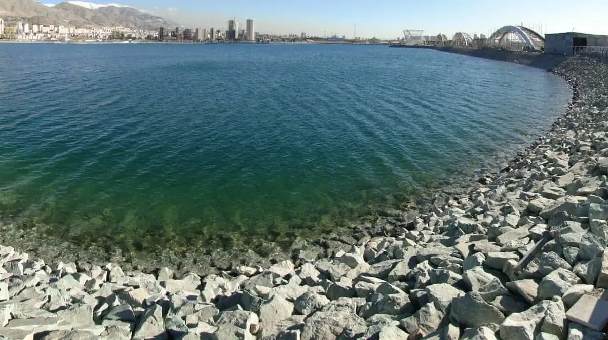 محیط زیست تهران: وجود تمساح در دریاچه چیتگر شایعه است