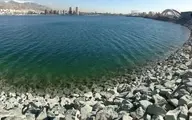 محیط زیست تهران: وجود تمساح در دریاچه چیتگر شایعه است