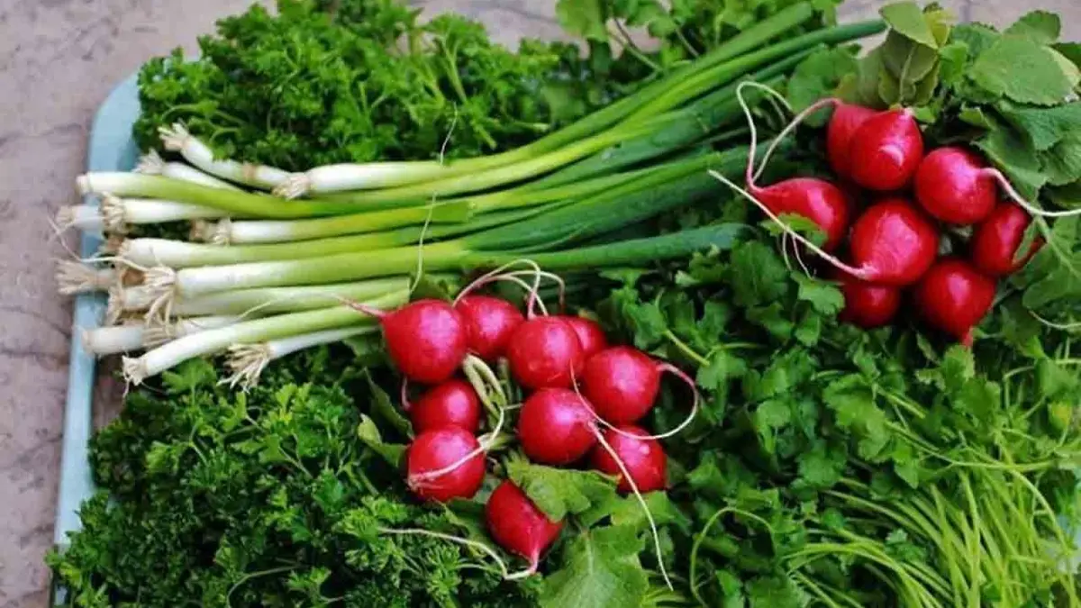 دیگه سبزی‌هاتو الکی دور ننداز | ترفند جون دادن به سبزی خوردن پلاسیده +ویدئو