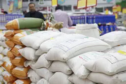  توقف توزیع ۵۵۰ تن برنج پاکستانی در خراسان شمالی