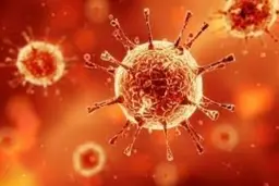 ویروس انگلیسی شانس عفونت مجدد را بالا می برد