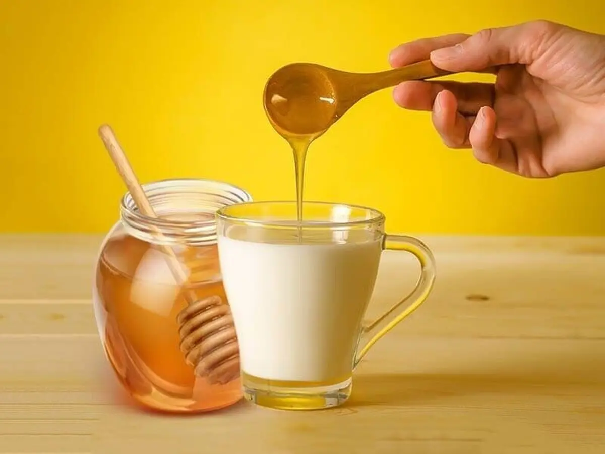 شیر داغ و عسل مفید است یا مضر ؟ | بررسی فواید و عوارض شیر داغ و عسل