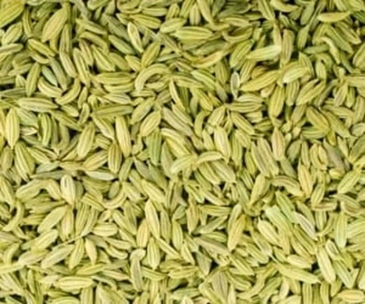 مزایای شگفت انگیز عرق رازیانه برای زندگی 