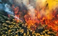 یک فقره  آتش سوزی در مرزن آباد حادثه آفرید | به علت ترافیک پرحجم در جاده کندوان مهار آتش بیش از دو ساعت زمان برد