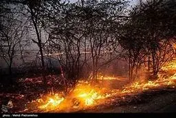 هشدار آتش‌سوزی در جنگل‌های گلستان | تداوم آلودگی هوا در ۱۲ استان +ویدئو