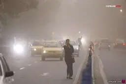 وقتی ما خودمان، تالاب‌های کشور را خشک کرده و ریزگرد ایجاد می‌کنیم، چه انتظاری دارید که دل دولت‌های همسایه به حال ما بسوزد؟