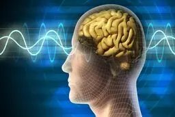 این کار عملکرد مغز را بیشتر می کند 