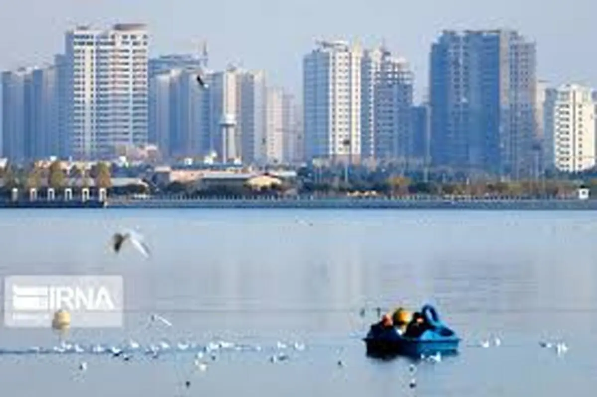  وجود تمساح در دریاچه چیتگرتاییدنشد