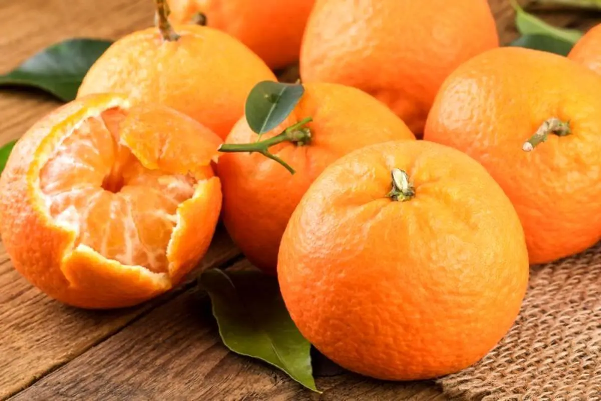 بهبود روحیه با مصرف این میوه ی نارنجی