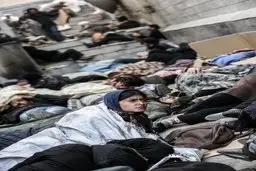  فیلم‌های سینمایی | مجوز نمایش برای فیلم‌های درمیشیان و خوشبخت صادرشد