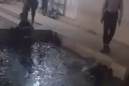 واکنش بهزیستی به کتک زدن معتادان در استخر یخ زده در یک مرکز ترک اعتیاد: آن مرکز پلمب و متهمان بازداشت شدند