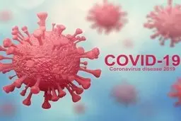  کرونا | حرف زدن ۲۰۰ واحد ویروس را منتشر می‌کند