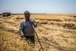 بحران آب، مواد غذایی را گران می‌کند؟ 