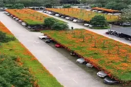 باغ‌های شناور ژاپن: گامی سبز در قلب شهر خاکستری