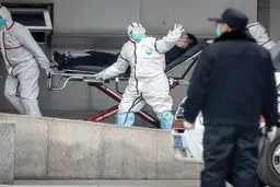 
۱۰ نکته درباره ویروس کشنده کرونا
