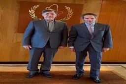 دیدار بهاروند با گروسی 