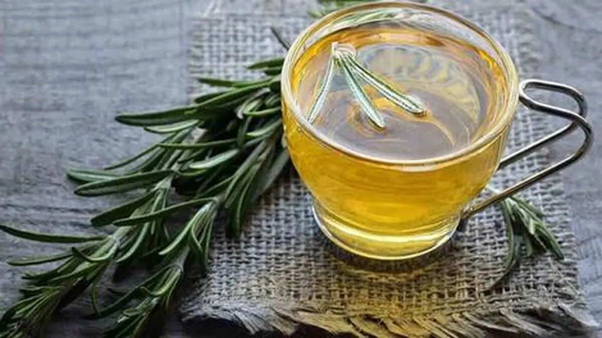 ۹ خاصیت چای رزماری برای سلامتی +  اینفوگراف 
