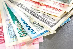 تجار کارتن‌خواب را معرفی کنید