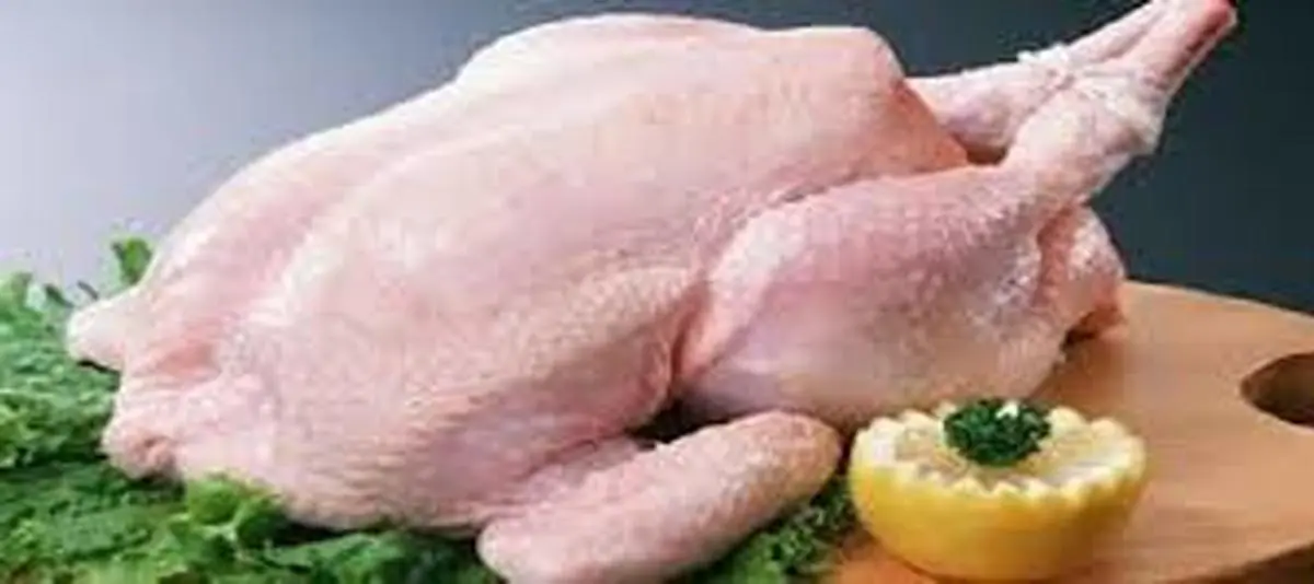  قیمت مرغ در بازار از ۲۰ هزار تومان عبور خواهد کرد. 